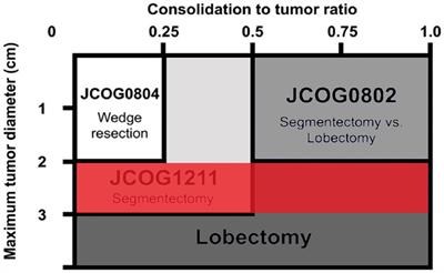 Construction of a predictive model of 2–3 cm ground-glass nodules developing into invasive lung adenocarcinoma using high-resolution CT